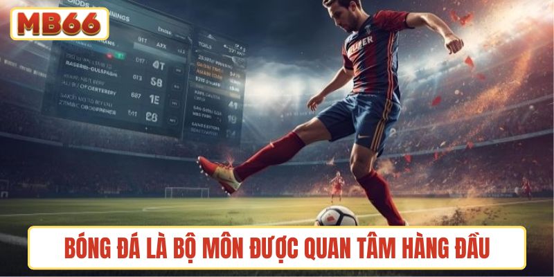 Bóng đá là trò chơi được quan tâm hàng đầu