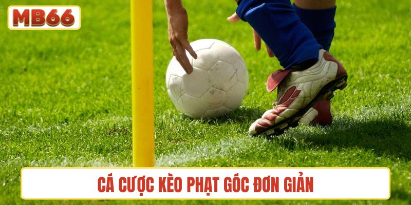 Cá cược kèo phạt góc đơn giản