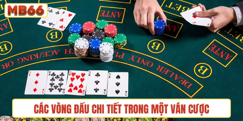 Các vòng đấu chi tiết trong một ván cược