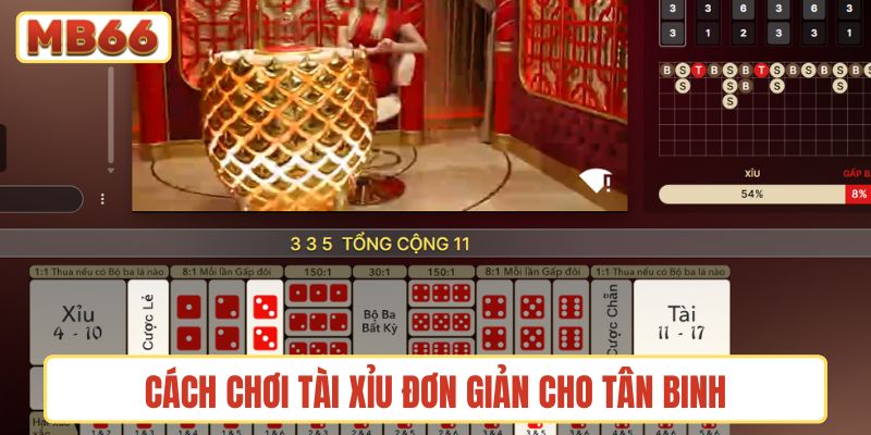 Cách chơi tài xỉu đơn giản cho tân binh