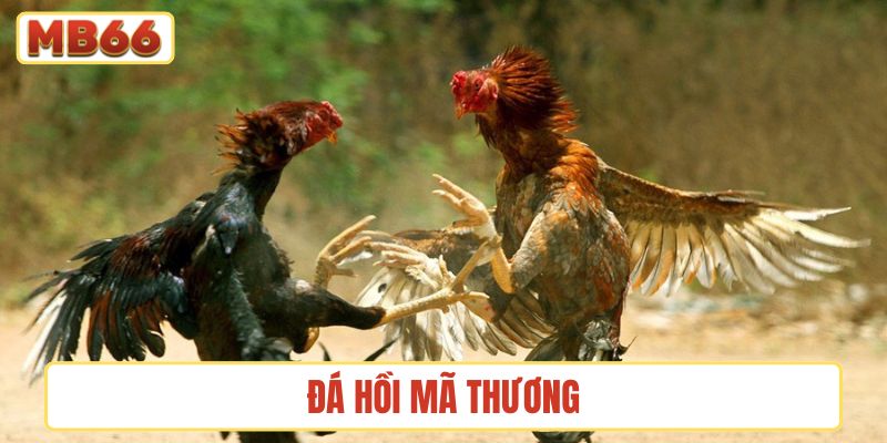 Đá hồi mã thương