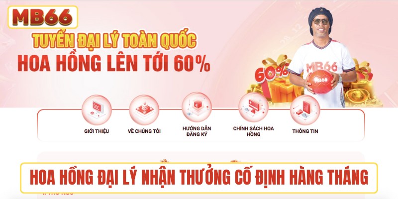 Hoa hồng đại lý nhận thưởng cố định hàng tháng