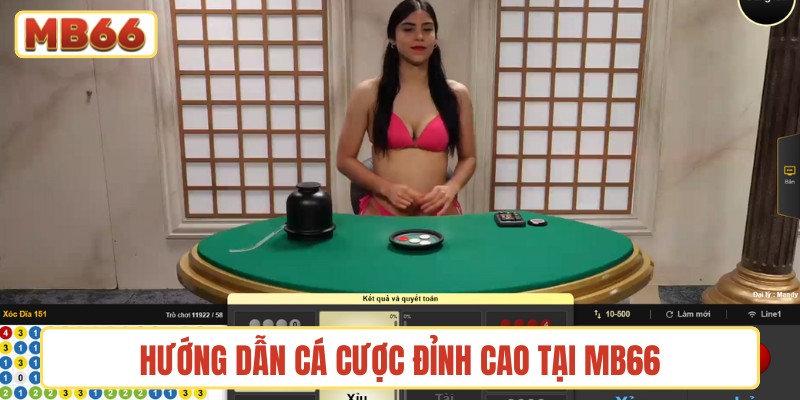 Hướng dẫn cá cược đỉnh cao tại MB66