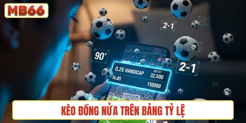 Kèo đồng nửa trên bảng tỷ lệ