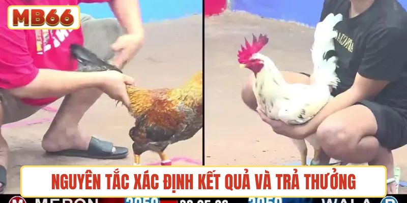 Nguyên tắc xác định kết quả trận đấu và trả thưởng
