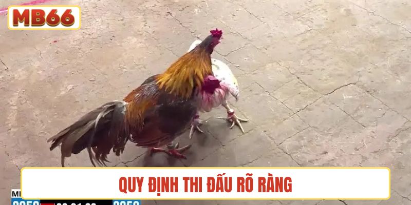 Quy định thi đấu rõ ràng