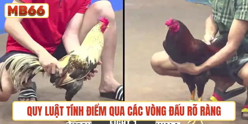 Quy luật tính điểm qua các vòng đấu rõ ràng