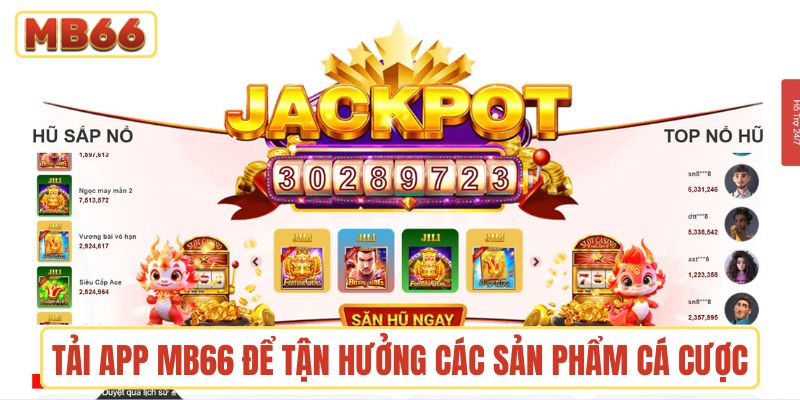 Tải app MB66 để tận hưởng các sản phẩm cá cược trên điện thoại