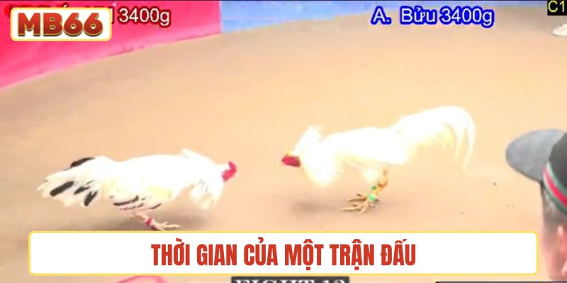 Thời gian của một trận đấu
