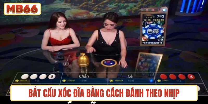 Bắt cầu xóc dĩa bằng cách đánh cược theo nhịp