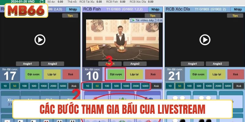 Hướng dẫn các bước tham gia vào game bầu cua livestream