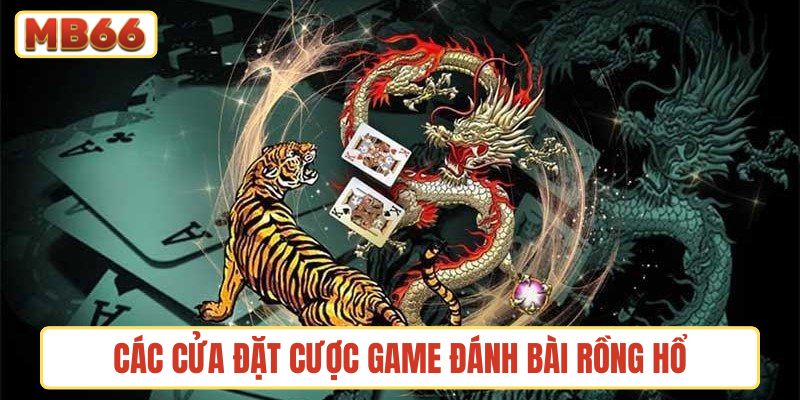 Các cửa đặt cược cơ bản của game đánh bài Rồng Hổ