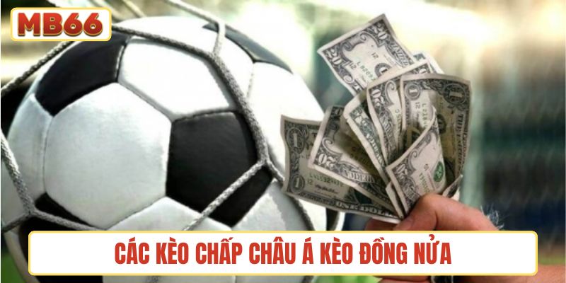 Tổng hợp các kèo chấp châu Á phổ biến hiện nay - kèo đồng nửa