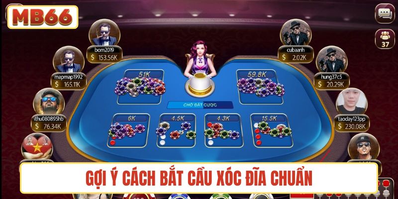 Gợi ý cách bắt cầu xóc đĩa chuẩn