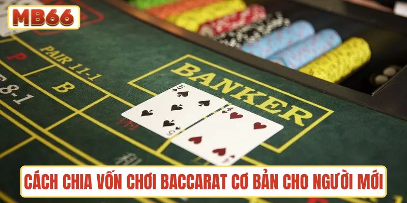 Cách chia vốn chơi Baccarat cơ bản cho người mới tập