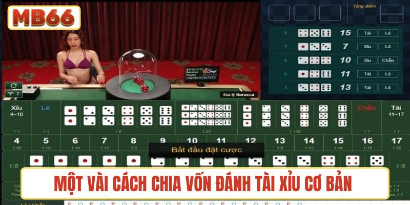 Một vài cách chia vốn đánh tài xỉu cơ bản được nhiều người áp dụng