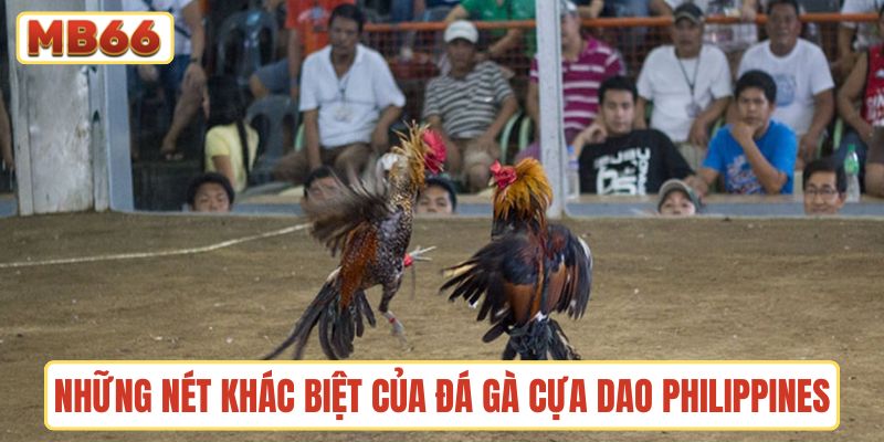 Những nét khác biệt của đá gà cựa dao Philippines