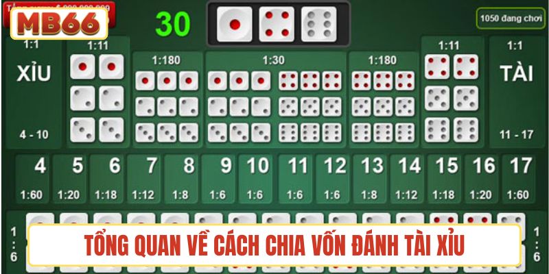 Tổng quan về những cách chia vốn đánh tài xỉu