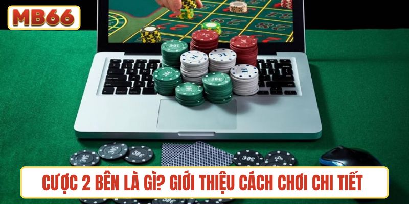 Cược 2 bên là gì? Giới thiệu cách chơi chi tiết