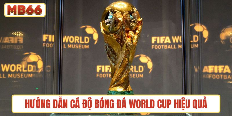 Hướng dẫn cá độ bóng đá World Cup mang hiệu quả cao