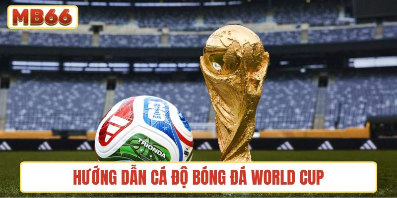 hướng dẫn cá độ bóng đá World Cup