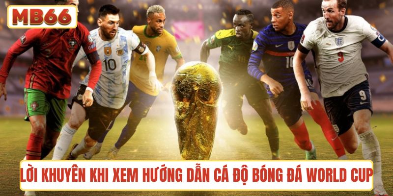 Lời khuyên hữu ích khi xem hướng dẫn cá độ bóng đá World Cup